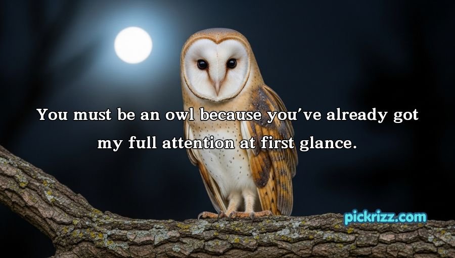 Best Owl Pick Up Lines