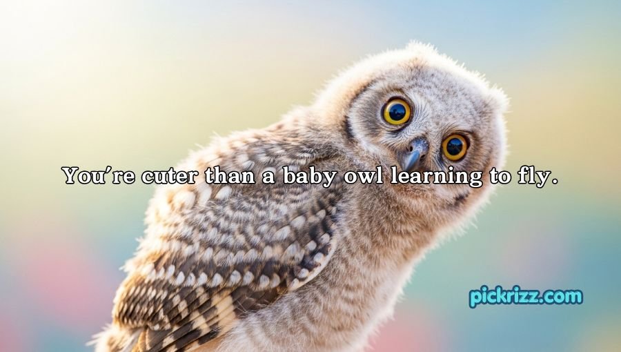 Best Owl Pick Up Lines
