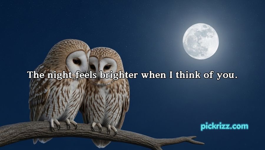 Best Owl Pick Up Lines