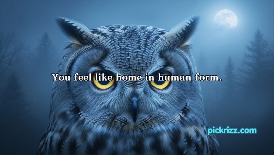 Best Owl Pick Up Lines