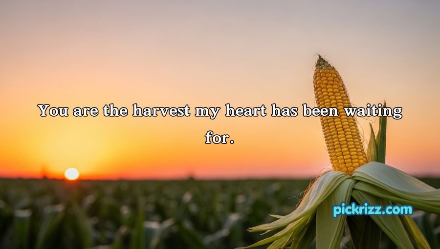 Corn Pick Up Lines