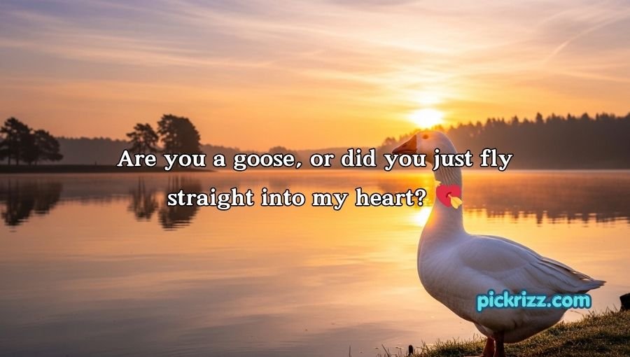 Goose Pickup Lines