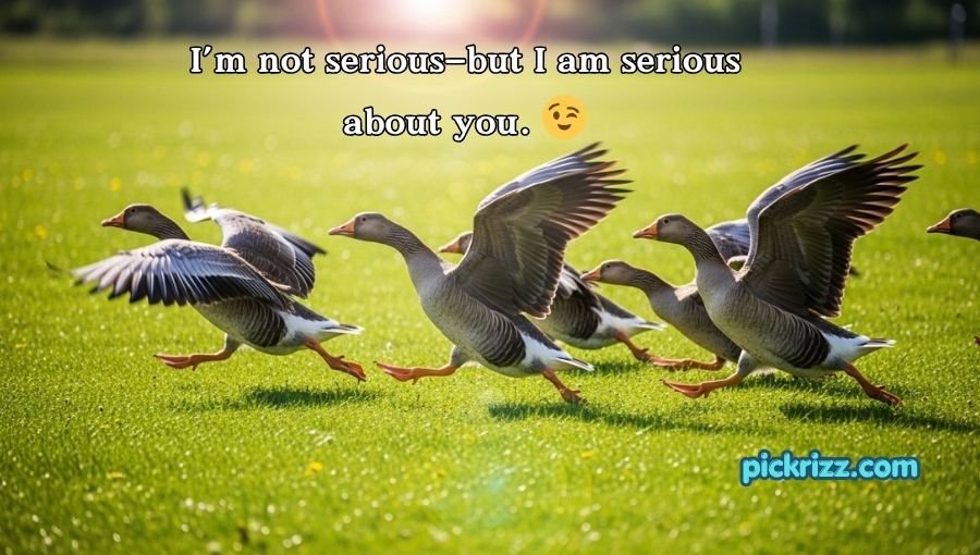 Goose Pickup Lines