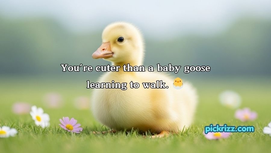Goose Pickup Lines