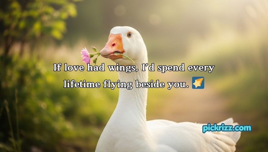 Goose Pickup Lines