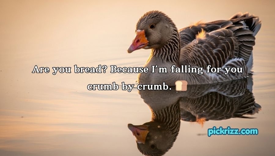 Goose Pickup Lines