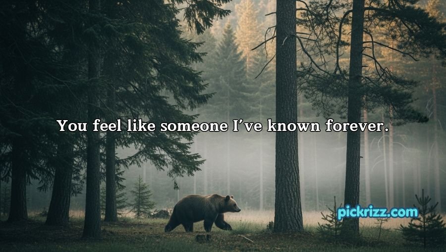 Irresistible Bear Rizz Lines