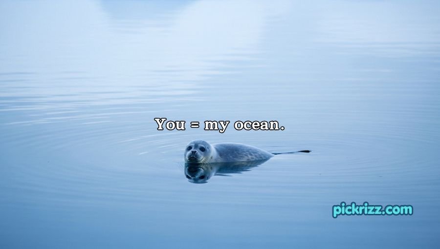 Seal Pickup Lines