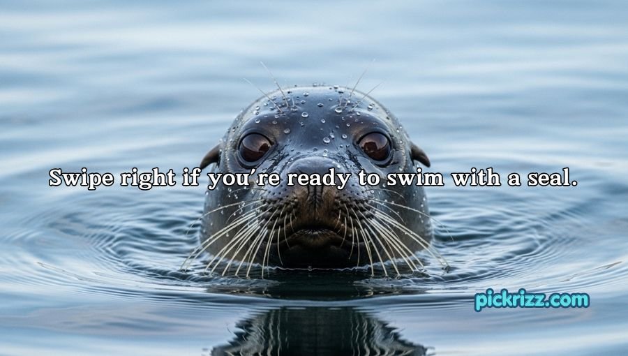 Seal Pickup Lines