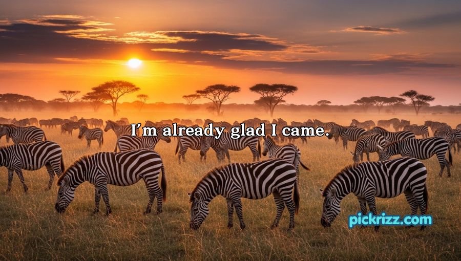 Zebra Pickup Lines