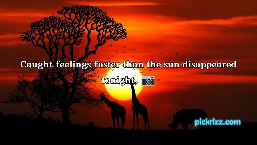 Sunset Pick Up Lines
