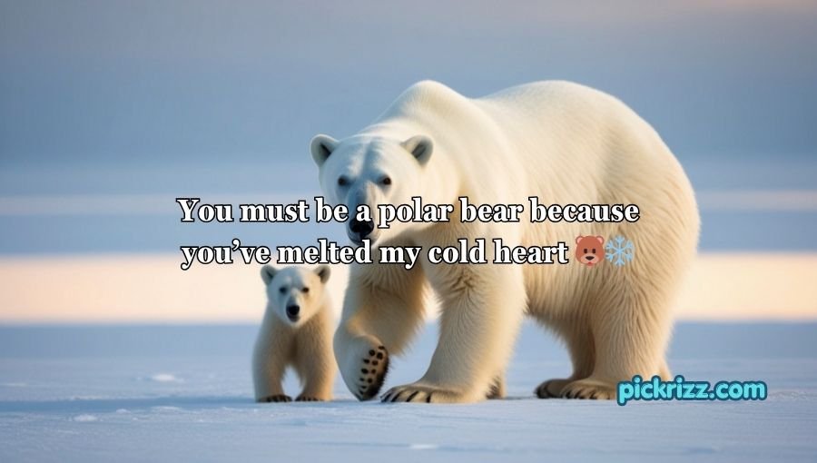 Animal Pick Up Lines