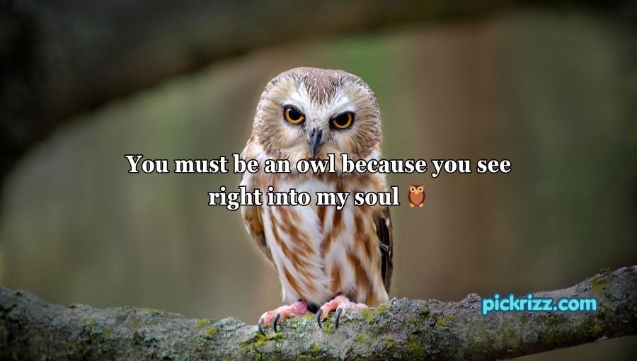 Animal Pick Up Lines