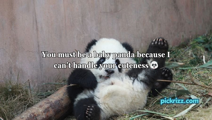 Animal Pick Up Lines