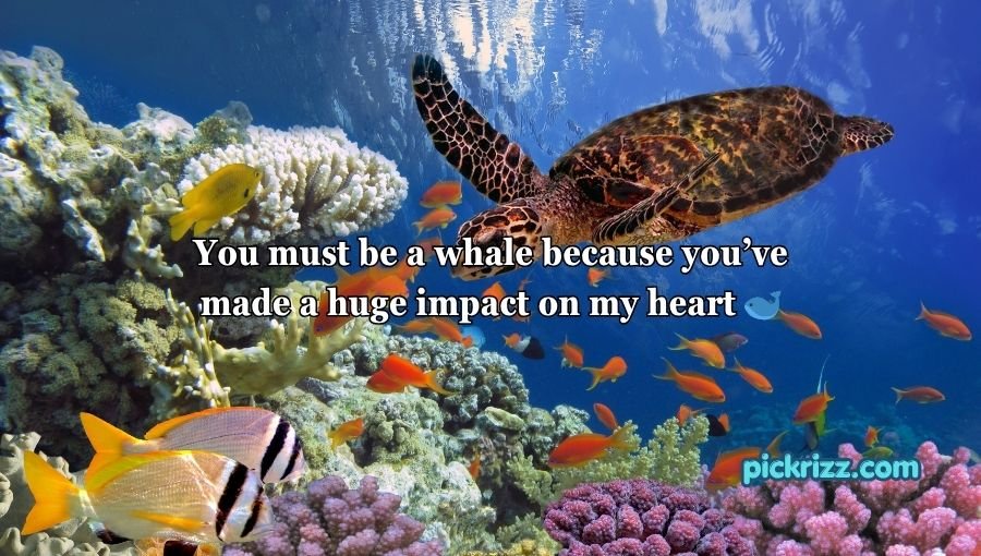 Animal Pick Up Lines
