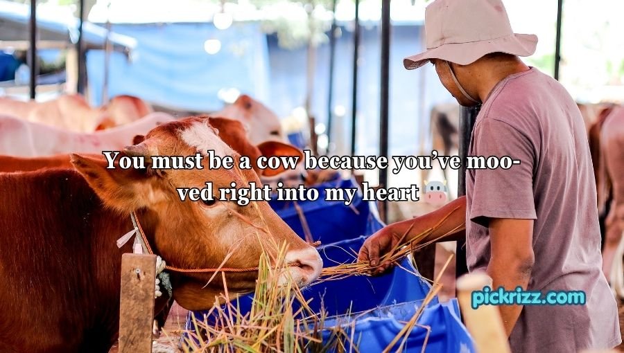Animal Pick Up Lines