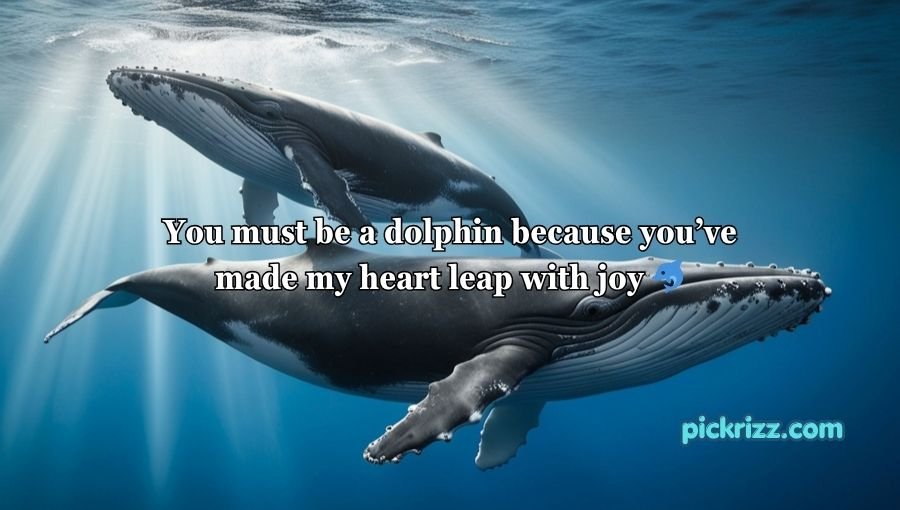Animal Pick Up Lines