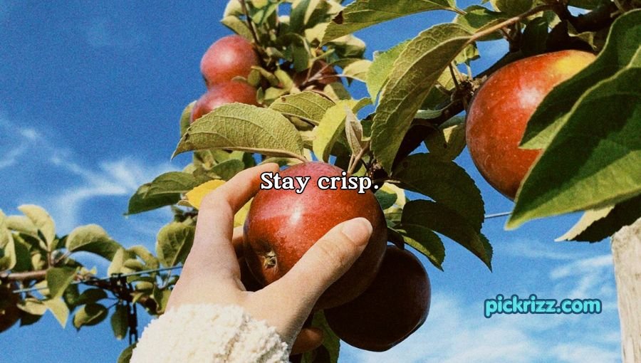 Apple Puns