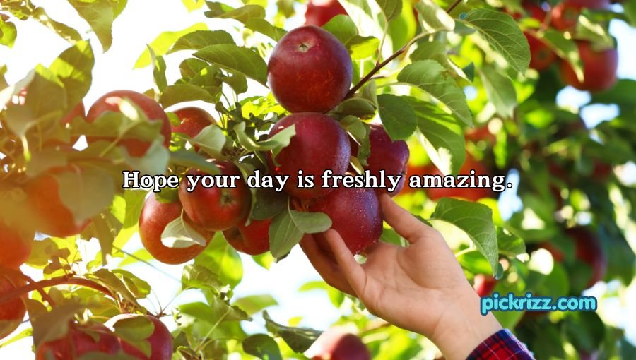 Apple Puns
