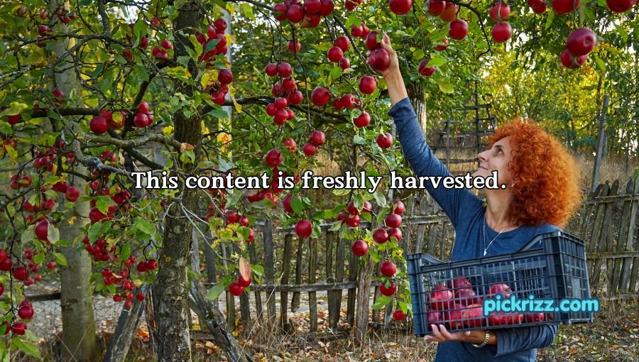 Apple Puns