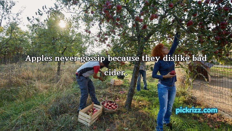Apple Puns