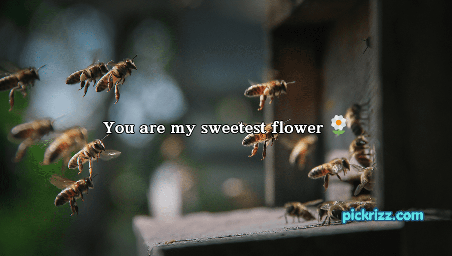 bee pick up lines