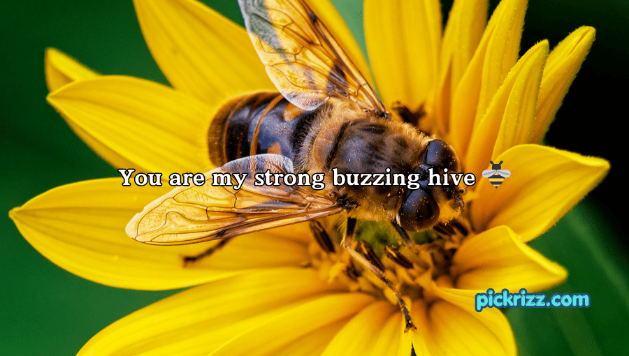 bee pick up lines