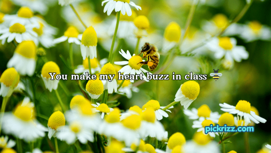 bee pick up lines