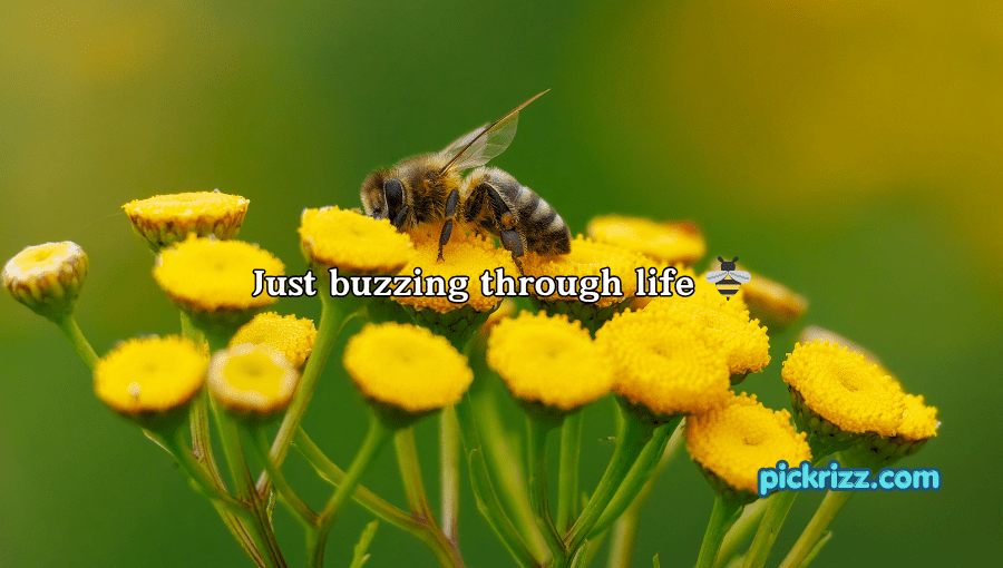 bee pick up lines