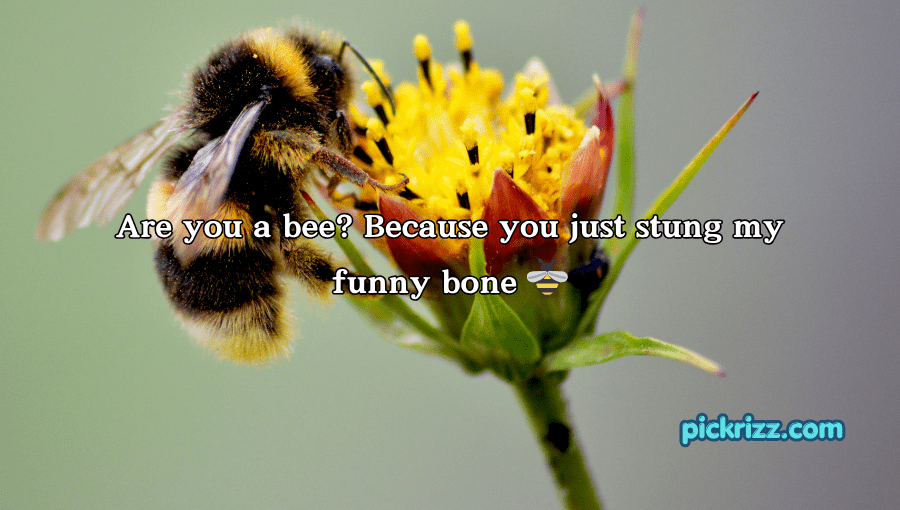 bee pick up lines