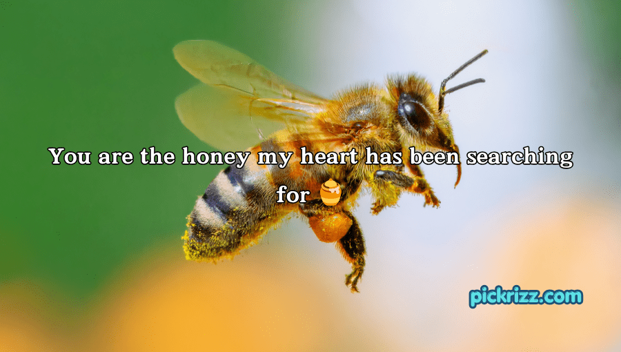 bee pick up lines