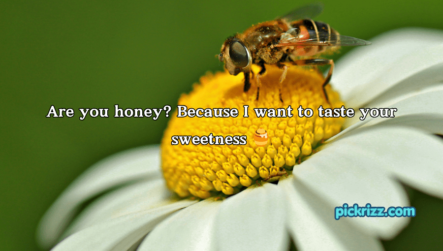 bee pick up lines
