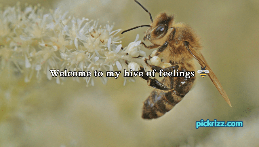 bee pick up lines