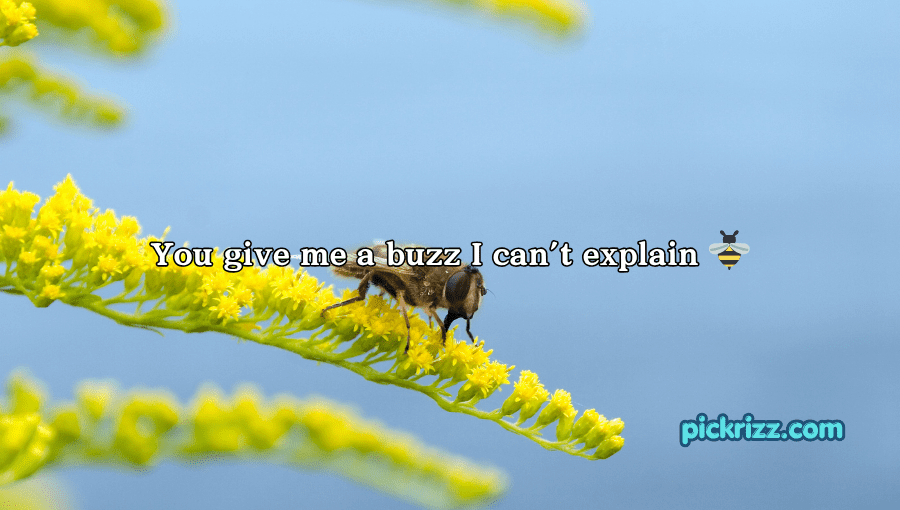 bee pick up lines