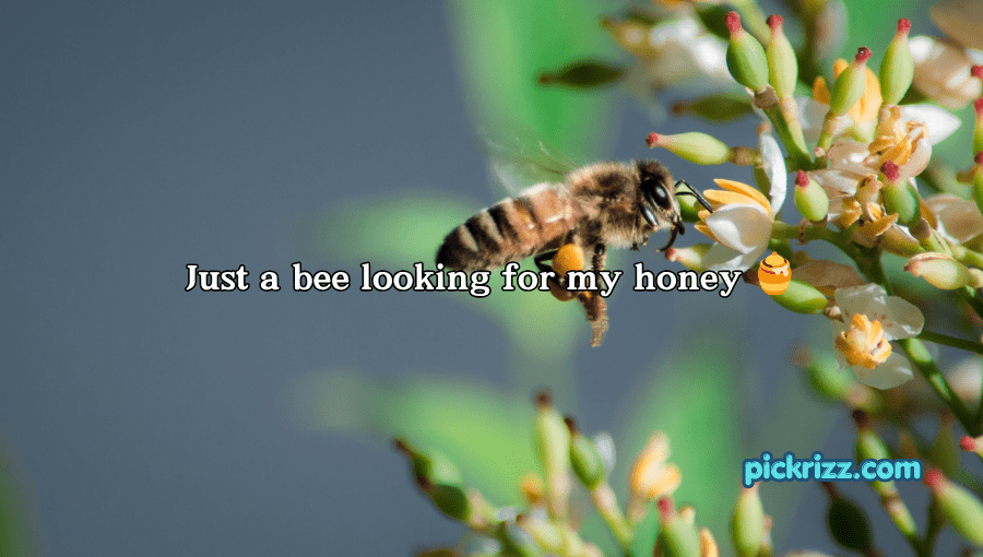 bee pick up lines
