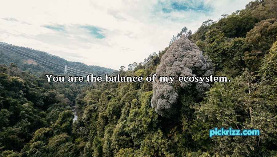 Biodiversity Rizz Lines
