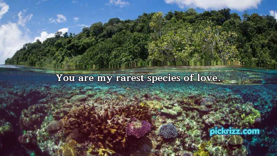 Biodiversity Rizz Lines