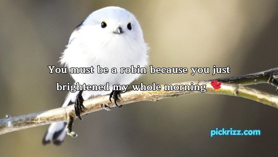 Bird Pick Up Lines