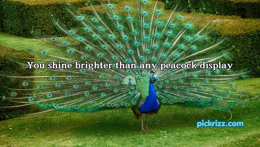 Bird Pick Up Lines
