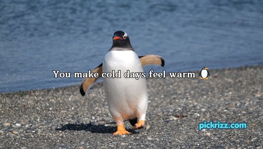 Bird Pick Up Lines