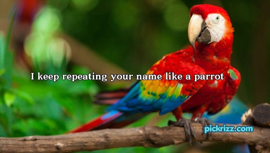 Bird Pick Up Lines