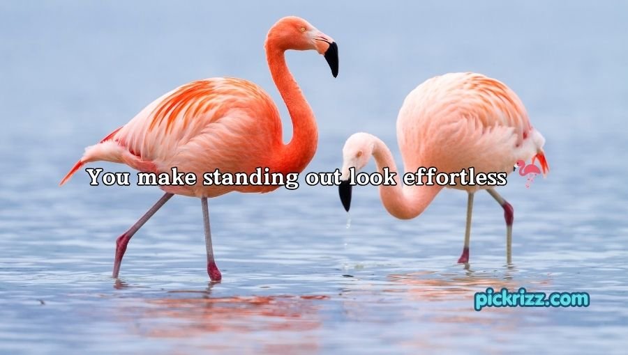 Bird Pick Up Lines
