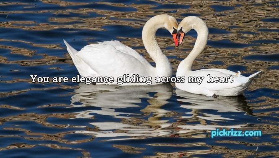 Bird Pick Up Lines