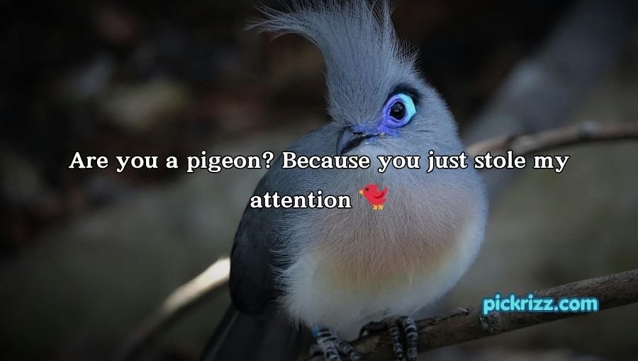 Bird Pick Up Lines