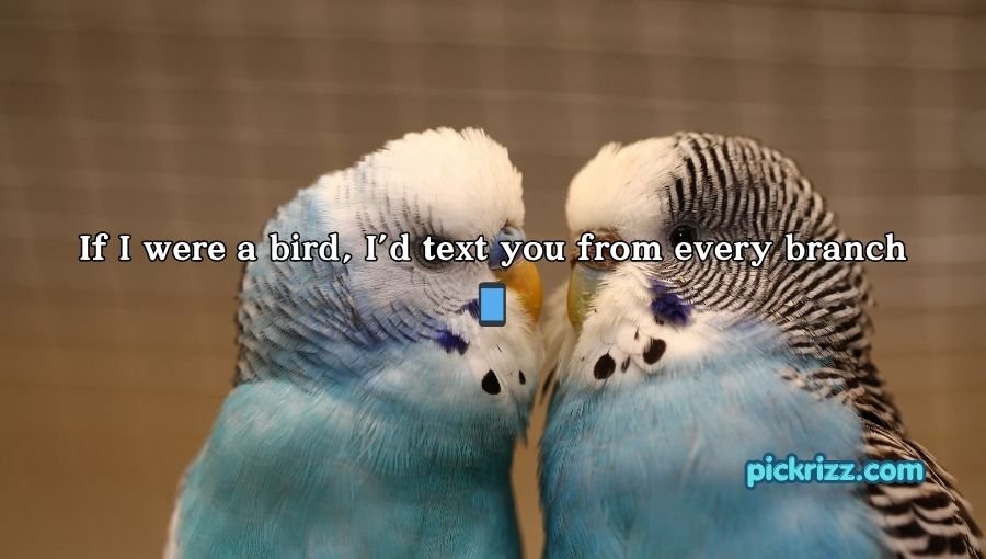 Bird Pick Up Lines