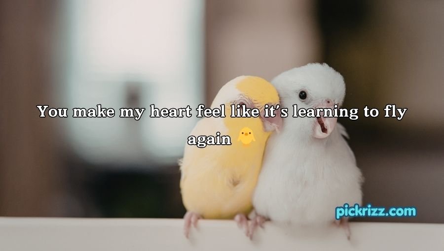 Bird Pick Up Lines