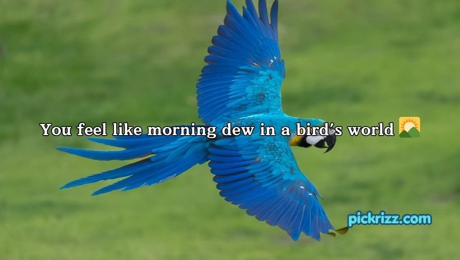 Bird Pick Up Lines