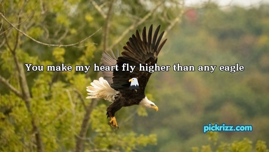 Bird Pick Up Lines