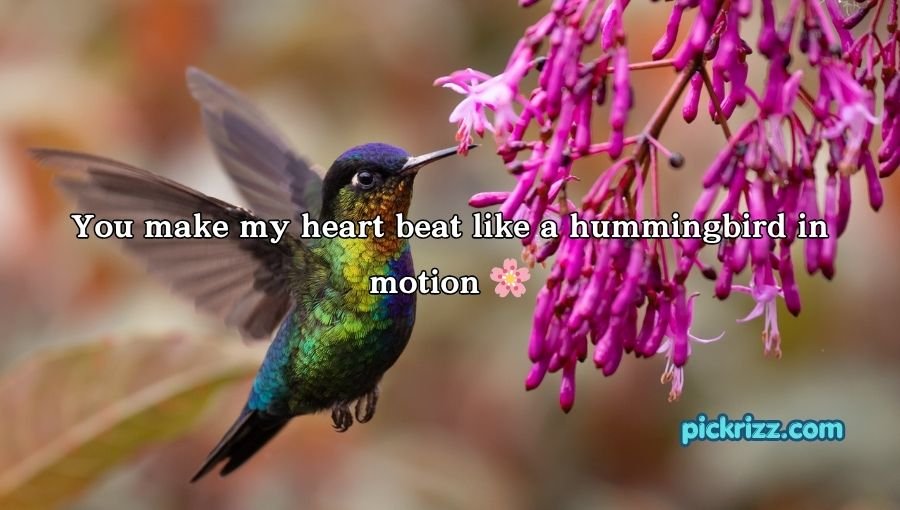 Bird Pick Up Lines