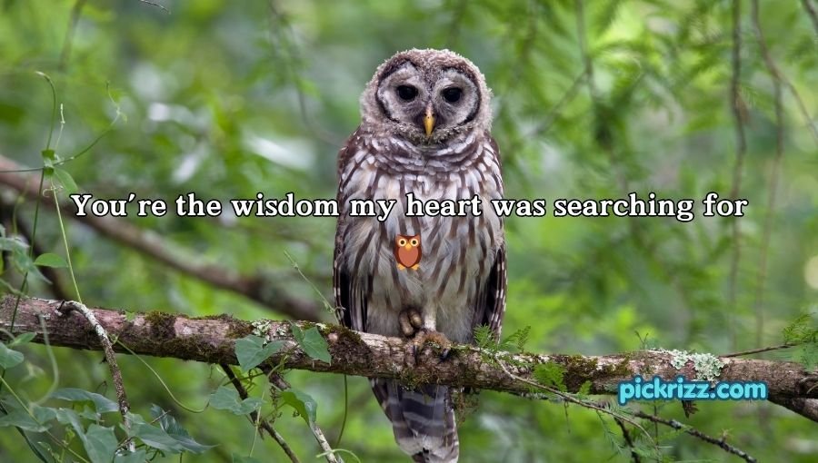 Bird Pick Up Lines